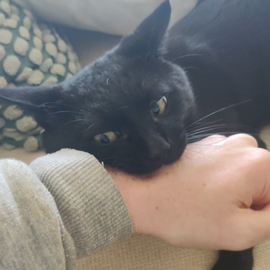 Garry Katsparov Portrait